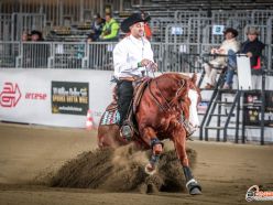 Futurity 2024 - MAURIZIO FERRARIS & KING OF SUN score 209,5