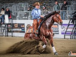 Futurity 2024 - FRANCESCO BARBAGLI & SHININ MOONSTONE score 214