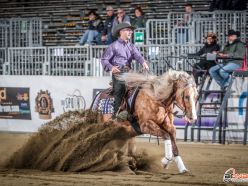 Futurity 2024 - MATTEO VEDOVATO & HEZA FROZEN INFERNO score 209