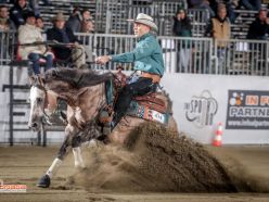 Futurity 2024 - STEFANO CERUTTI & QUESTIONABLY FROZEN score 221