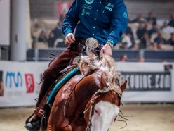 Futurity 2024 - MANUEL CORTESI & MC MILLENIUM FALCON score 226,5