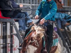 Futurity 2024 - MANUEL CORTESI & MC MILLENIUM FALCON composite score 448,5