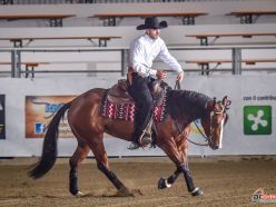 Futurity 2024 - ALESSIO PIZZUTI & VINTAGE GUN MODEL composite score 427