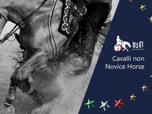 Cavalli non Novice Horse 2025