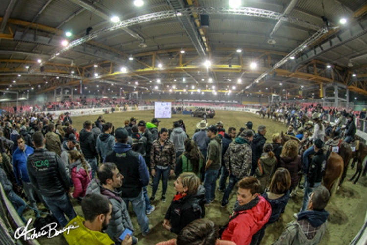 XXXIV IRHA FUTURITY 2018: numeri e location