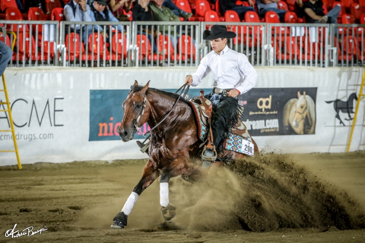 Derby 2019 - MATTEO MANUEL BONZANO &amp; HIGH POINT REINER score 216,5