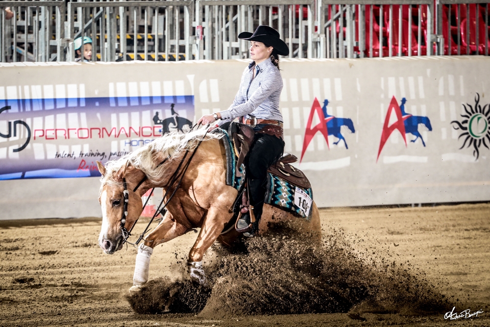 Futurity 4-yr-olds, the go-rounds