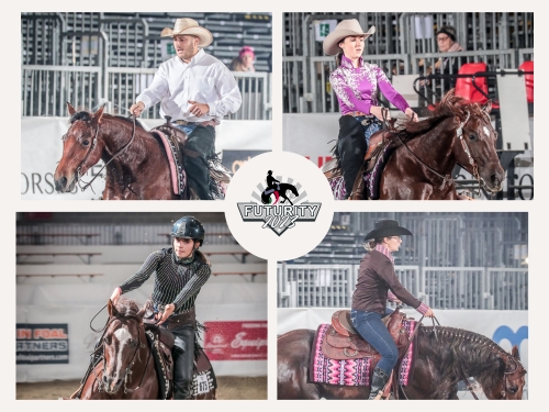 2023 IRHA/IRHBA/NRHA Futurity presented by DeniroBootCo: More FISE/IRHA Italian Reining Championship Action in Cremona