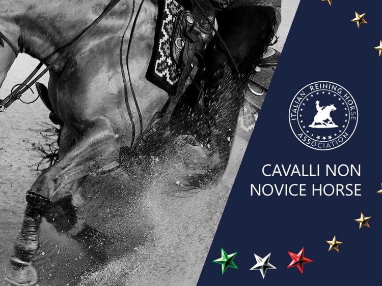 Cavalli non Novice Horse 2022