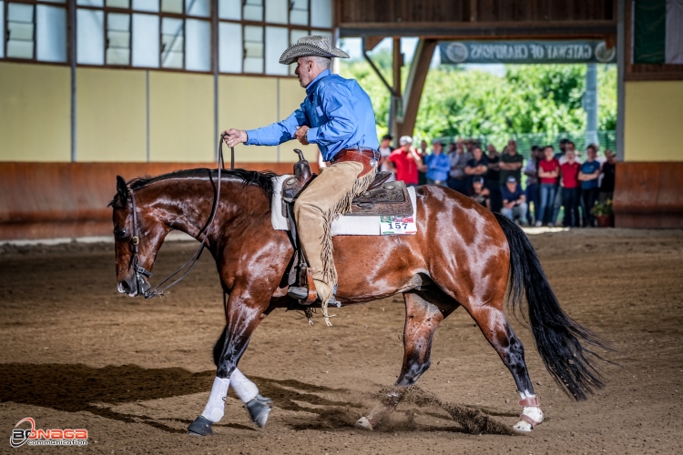 Squadre 2024 - MASSIMO NANTIAT &amp; BLU SPATTY ROOSTER score 143,5