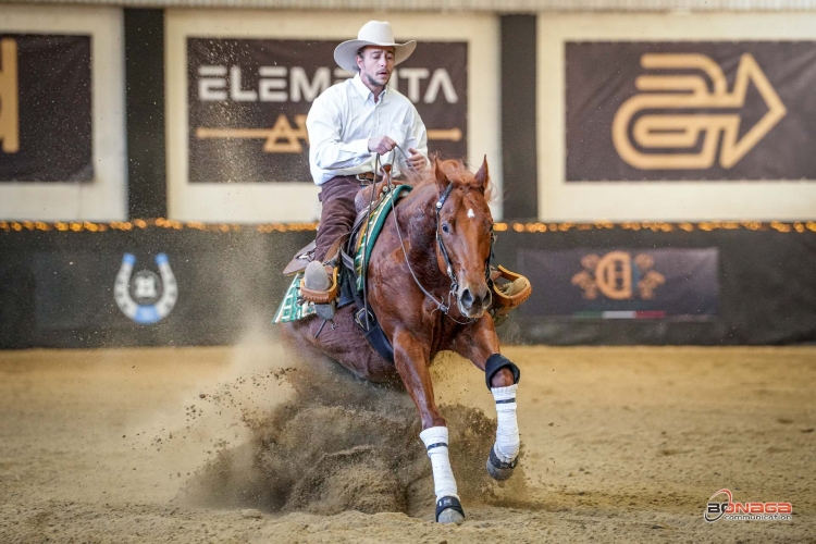 Finali 2024 - GUARDA ENRICO &amp; RS ACHERNAR FEO JAC score 206,5