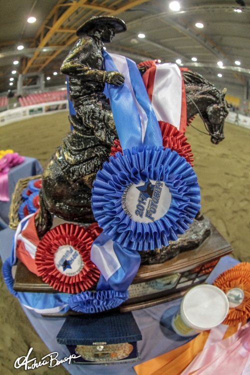 XXXIV IRHA FUTURITY 2018: un Futurity stellare