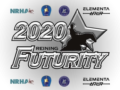 2020 IRHA-IRHBA-NRHA Futurity Results